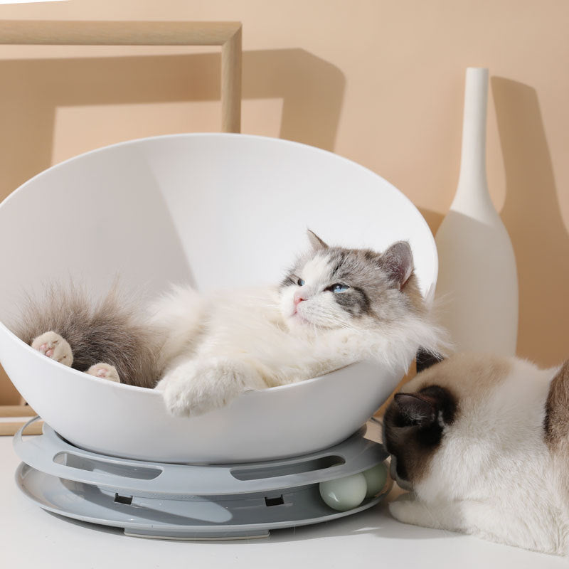 KFX-3854397 Eco-Friendly Semi-Circular Cat Tunnel Toy Nest - Single Layer Design for Playtime Fun