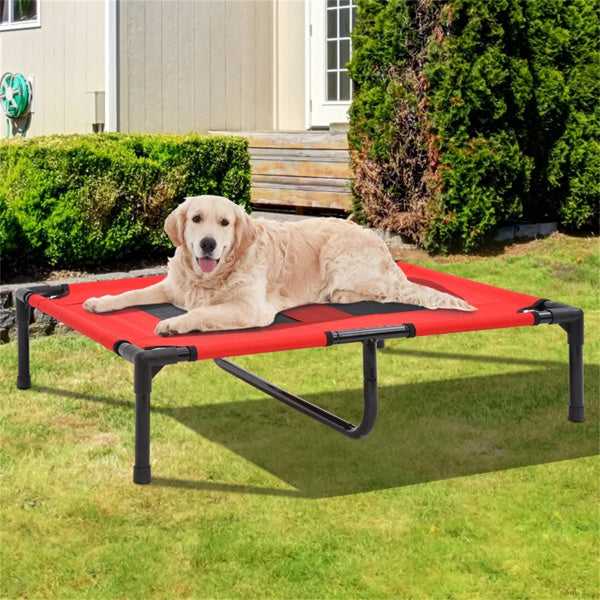 KFX-3854781 Elevated Dog Bed with Durable Steel Frame and Breathable Mesh Fabric - Ideal for Large Dogs