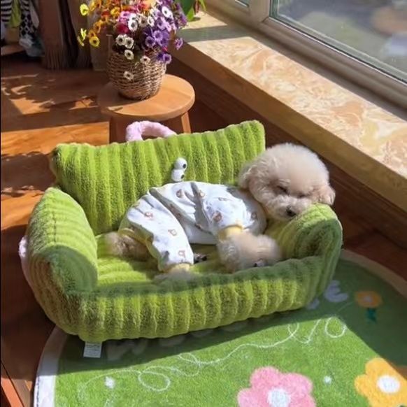 KFX-3860157 Cozy Striped Nest Sofa for Small Dogs – Blue, Warm Yellow, Pink, Grass Green Options