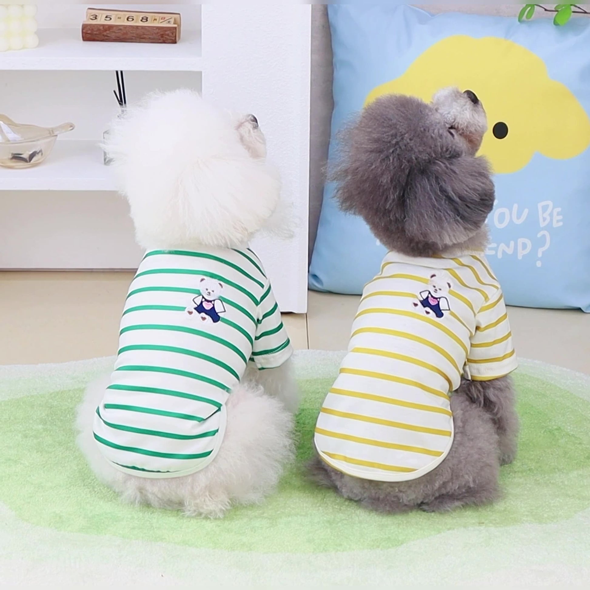 KFX-3861693 Pomeranian Teddy Bear T-Shirt for Small Dogs in Yellow, Black, Green - Casual Comfort