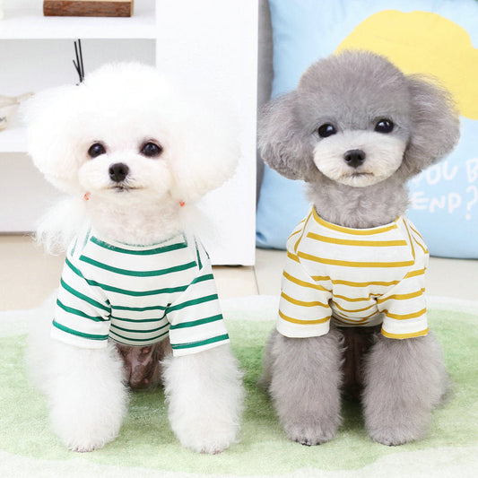 KFX-3861693 Pomeranian Teddy Bear T-Shirt for Small Dogs in Yellow, Black, Green - Casual Comfort