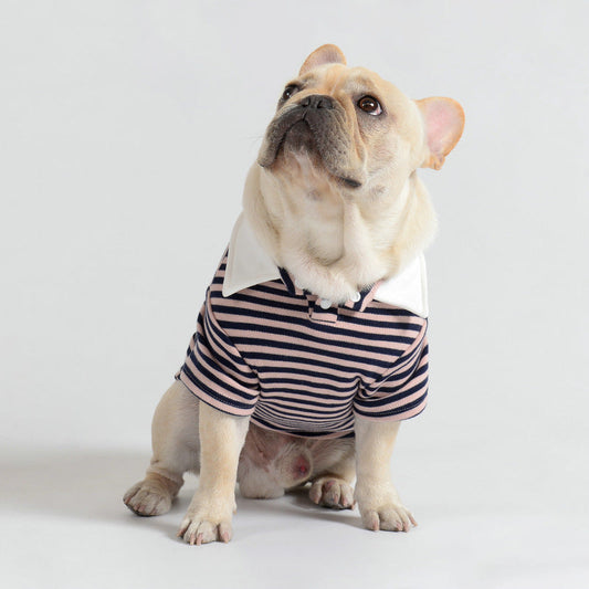 KFX-3866941 Cozy Cotton Stripe Polo Sweater for Pets in Pink and Yellow