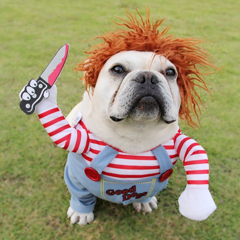 KFX-3871805 Adjustable Funny Halloween Dog Costume with Wig and Accessory for Parties