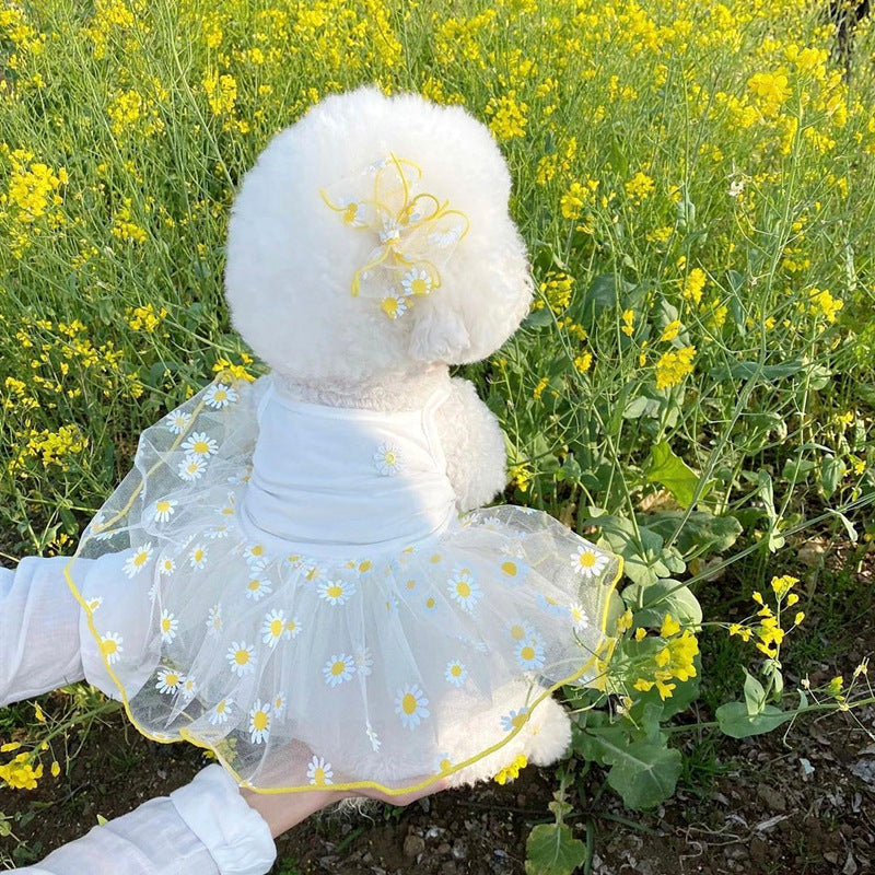 KFX-3872189 Summer Yellow Daisy Dog Apparel, Lightweight and Comfortable Sizes XS-XL