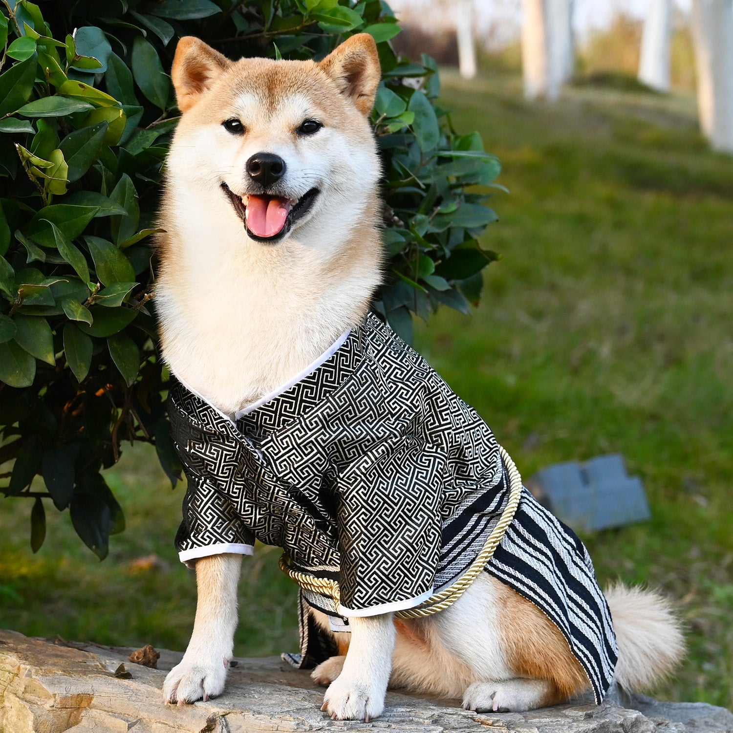 KFX-3875773 Samurai Style Pet Dog Clothes in Red and Black - Sizes S to XL Available