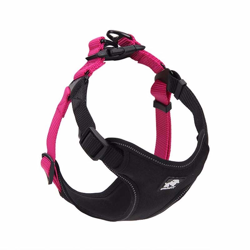KFX-3876669 Comfortable Oxford Cloth Dog Leash with Breathable Mesh and Zinc Alloy Hardware