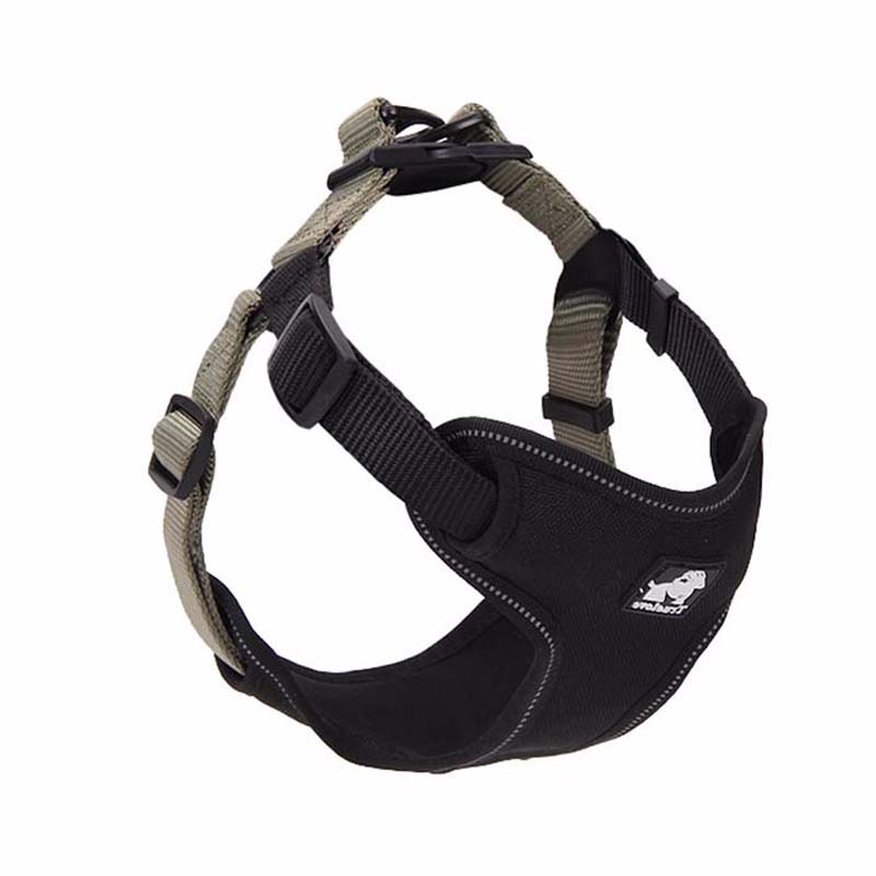 KFX-3876669 Comfortable Oxford Cloth Dog Leash with Breathable Mesh and Zinc Alloy Hardware