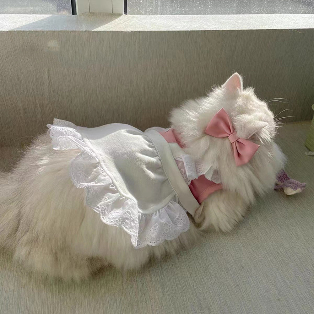 KFX-3881533 Small Pet Lace Dress for Cats and Dogs - Blue & Pink Options Available