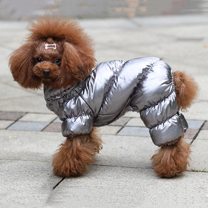 KFX-3893309 Pomeranian Bichon Casual Pet Clothes in Tyrant Gold and Sky Silver