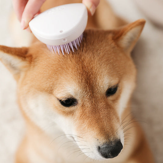 KFX-3896509 Pet Hair Removal Comb for Dogs and Cats - Efficient Hair Cleaner in Assorted Colors