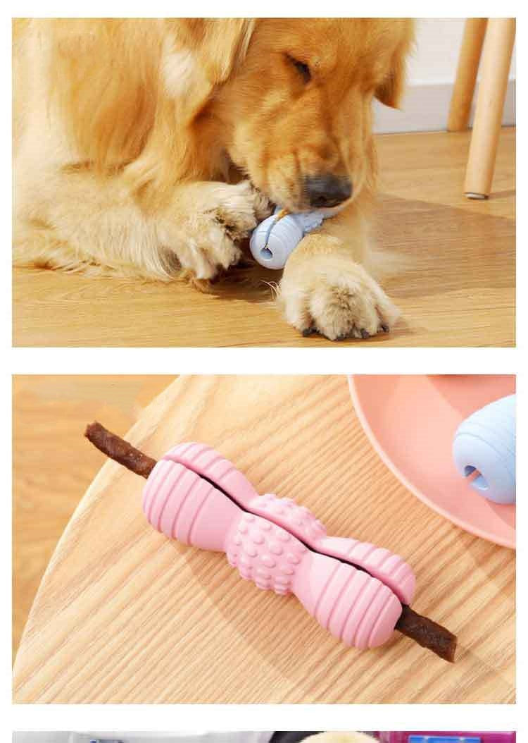 KFX-3899453 Teeth Grinding Molar Dog Toy in Vibrant Colors - Durable Rubber Chew for Pet Dental Health