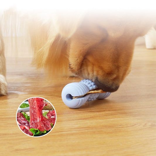 KFX-3899453 Teeth Grinding Molar Dog Toy in Vibrant Colors - Durable Rubber Chew for Pet Dental Health