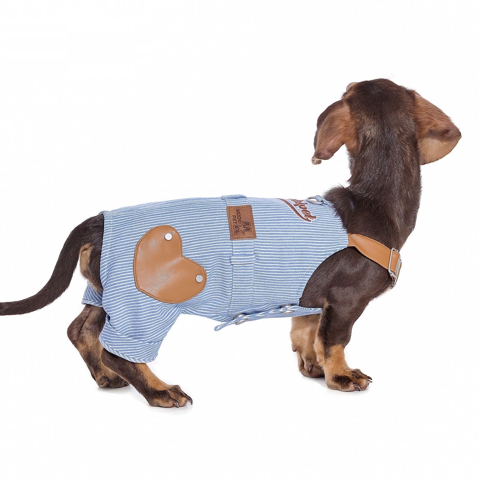 KFX-3902013 Denim Suspender Pants for Small Dogs - Stylish Blue Pet Clothing for Bichon & Schnauzer