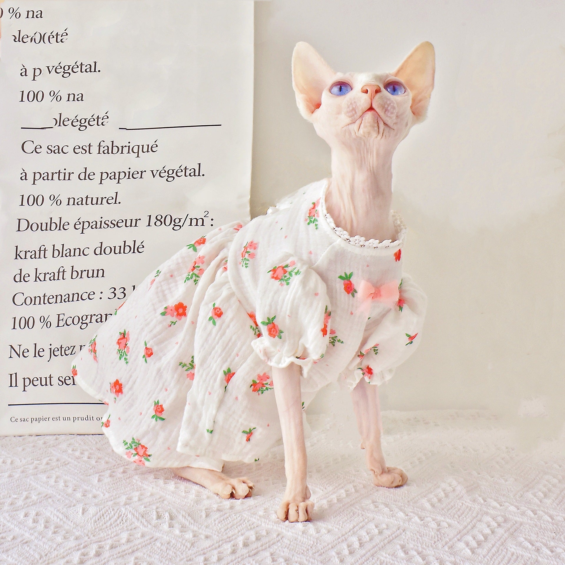 KFX-3904957 Hairless Cat Summer Outfit - White Rubber Pet Clothing in Sizes XS to XXL