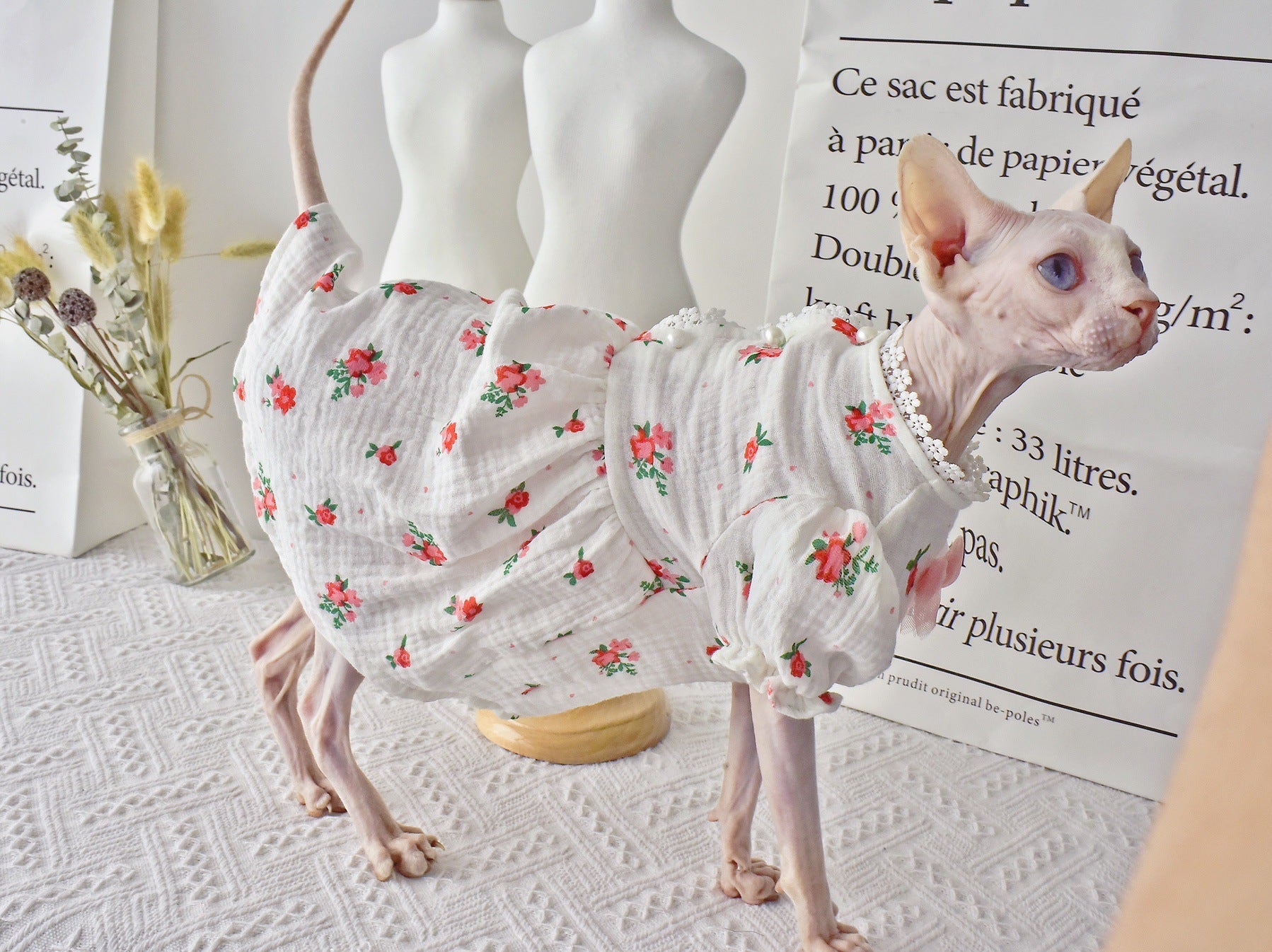 KFX-3904957 Hairless Cat Summer Outfit - White Rubber Pet Clothing in Sizes XS to XXL