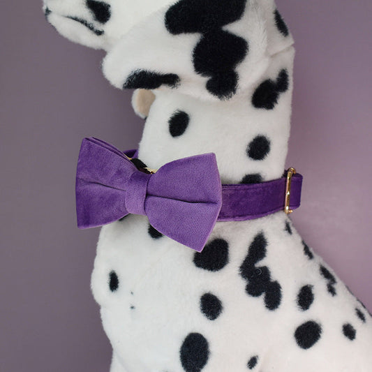 KFX-3908157 Purple Velvet Dog Collar and Leash Set with Bow Knot – Casual and Suitable for All Seasons