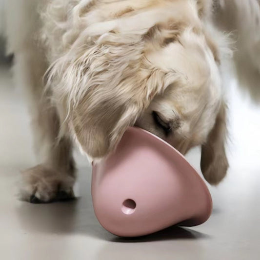 KFX-3908797 Interactive Chew Toy for Dogs - Food Hidden Fun, Multiple Colors Available