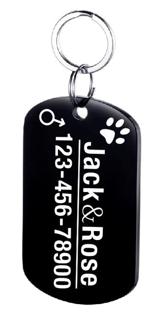KFX-3911997 Personalized Stainless Steel Pet ID Tag with Natural Zircon Pendant