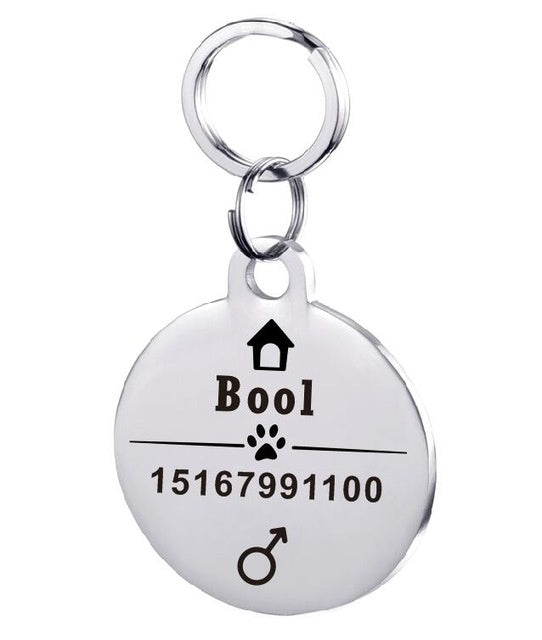 KFX-3911997 Personalized Stainless Steel Pet ID Tag with Natural Zircon Pendant