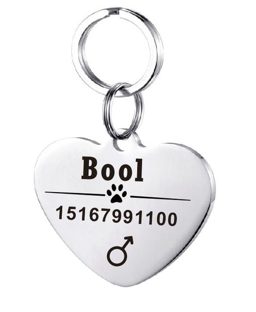 KFX-3911997 Personalized Stainless Steel Pet ID Tag with Natural Zircon Pendant