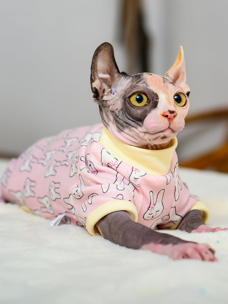 KFX-3914301 Cotton Cat Hair Loss Prevention T-Shirt for Spring, Summer, and Autumn