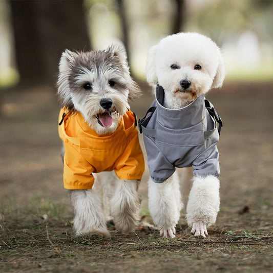KFX-3915581 Waterproof Pet Raincoat for Medium and Small Dogs – Chest and Back Design in Camouflage, Star Gray, or Clear Yellow