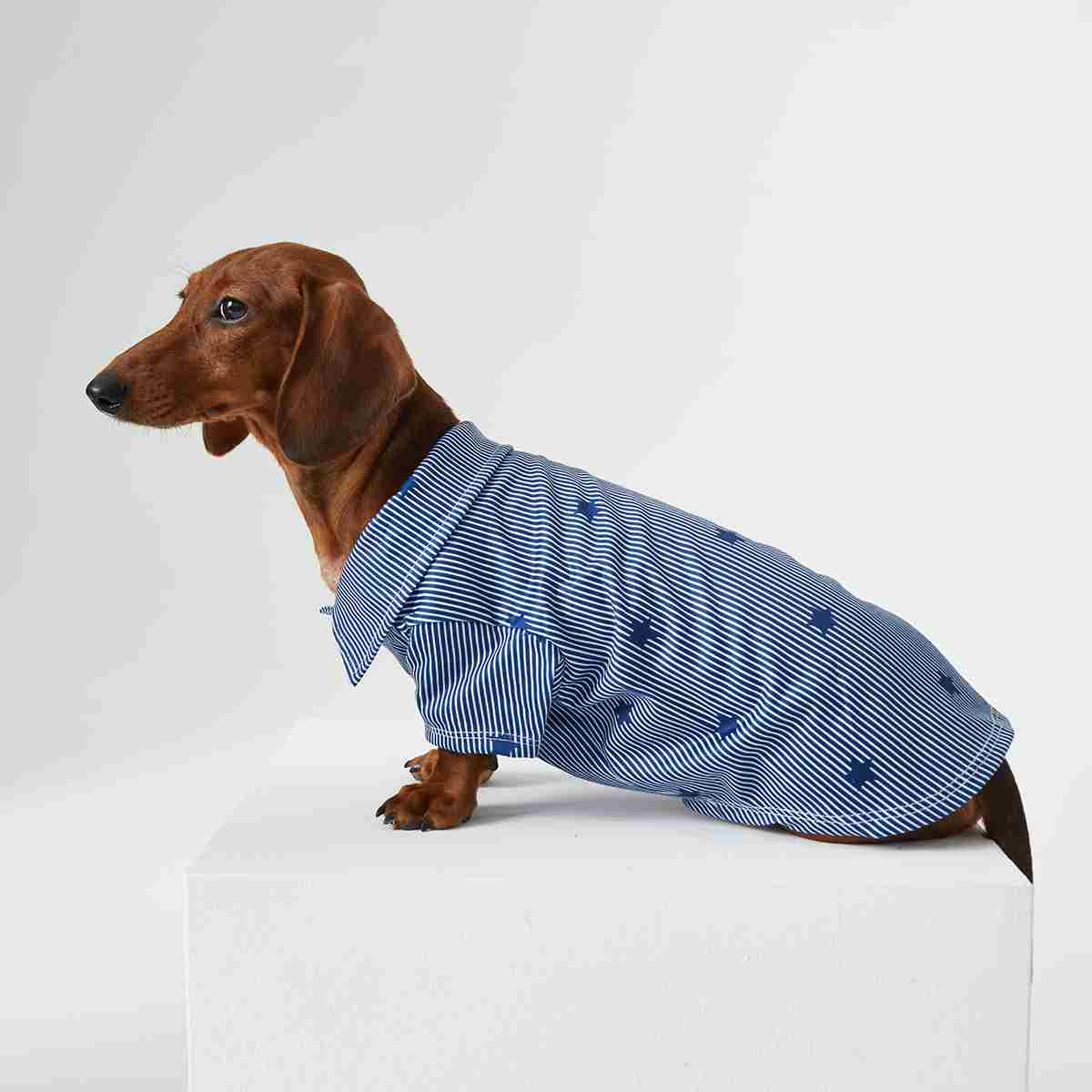 KFX-3926205 Pet Shirt for Small Dogs and Cats - Soft Fabric, Blue and Light Blue Options, Multiple Sizes Available