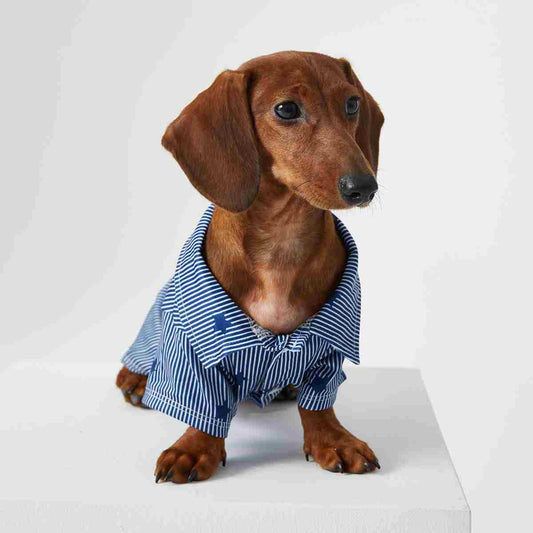 KFX-3926205 Pet Shirt for Small Dogs and Cats - Soft Fabric, Blue and Light Blue Options, Multiple Sizes Available