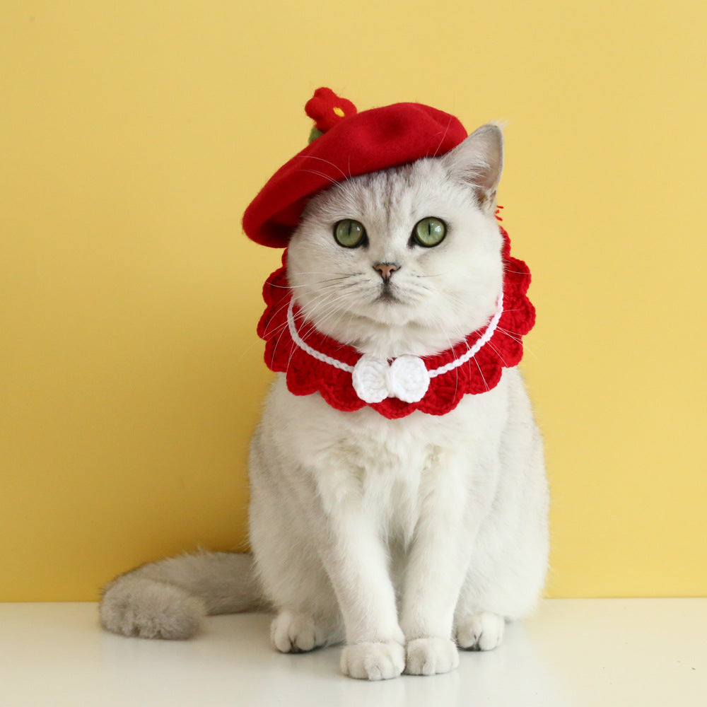KFX-3926461 Wool Felt Flower Hat for Pets – Red, Yellow, Pink, and White Floral Styles