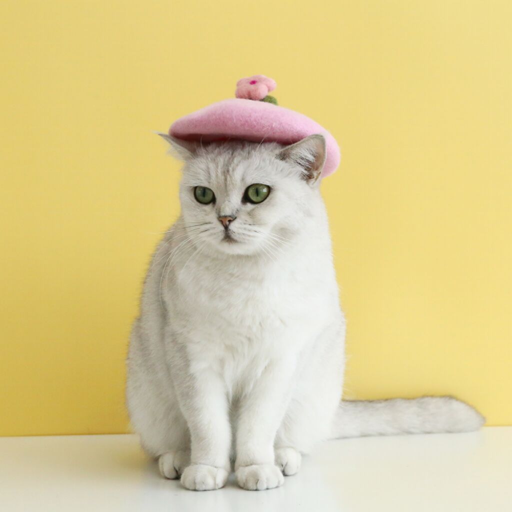 KFX-3926461 Wool Felt Flower Hat for Pets – Red, Yellow, Pink, and White Floral Styles