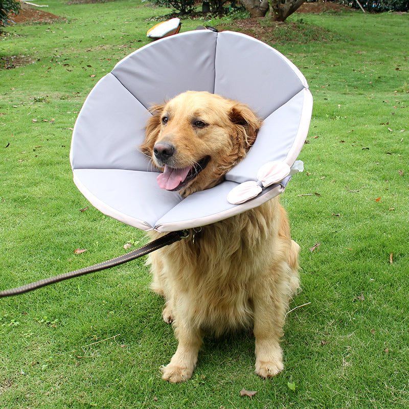 KFX-3929405 Dog Recovery Collar - Adjustable Cloth Elizabethan Cone for Comfort in Yellow, Black, Pink, Gray (Sizes XS-XXXL)