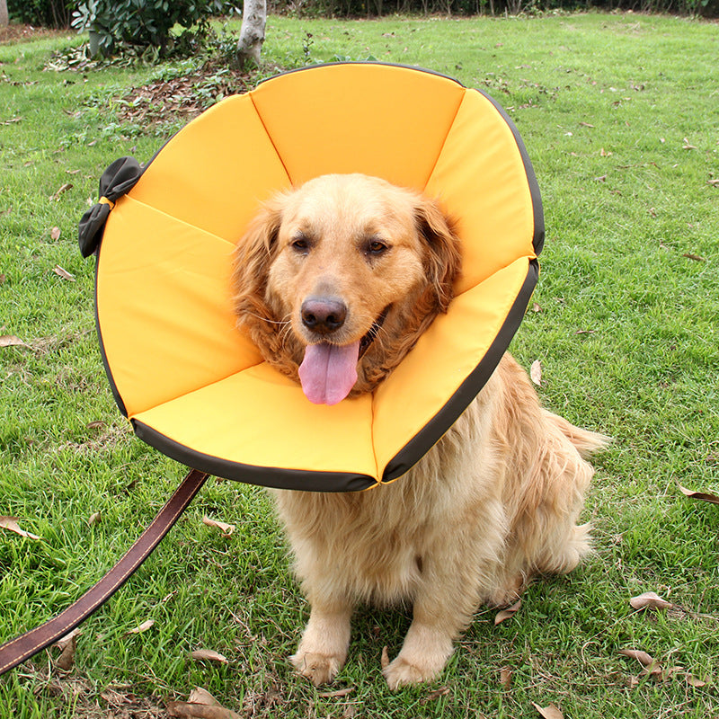 KFX-3929405 Dog Recovery Collar - Adjustable Cloth Elizabethan Cone for Comfort in Yellow, Black, Pink, Gray (Sizes XS-XXXL)