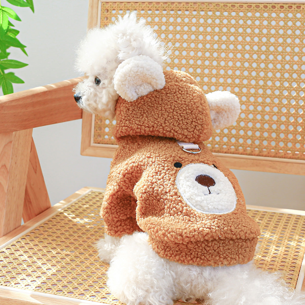 KFX-3932477 Cozy Lambswool Round Bear Hoodie for Pets in Multiple Sizes