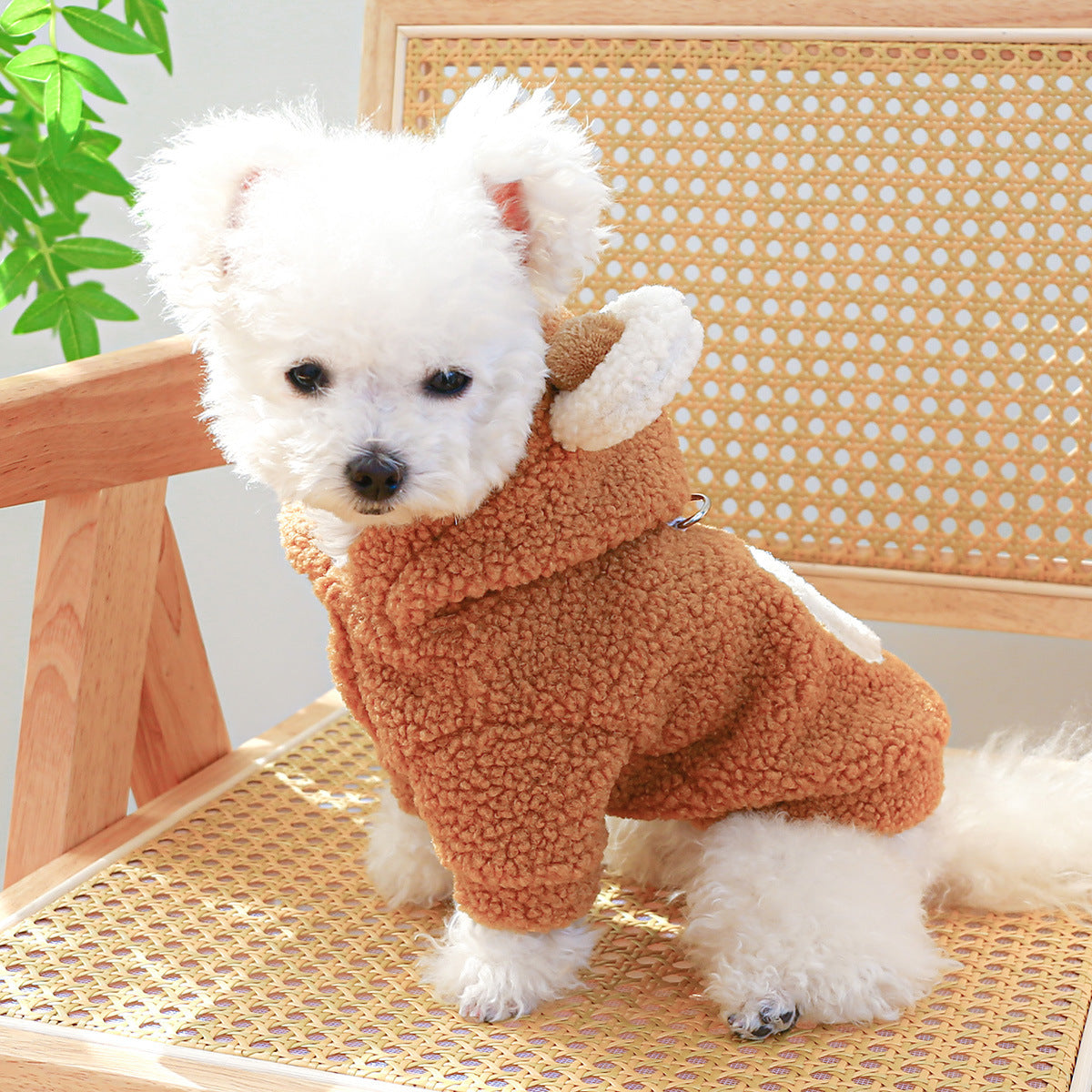 KFX-3932477 Cozy Lambswool Round Bear Hoodie for Pets in Multiple Sizes