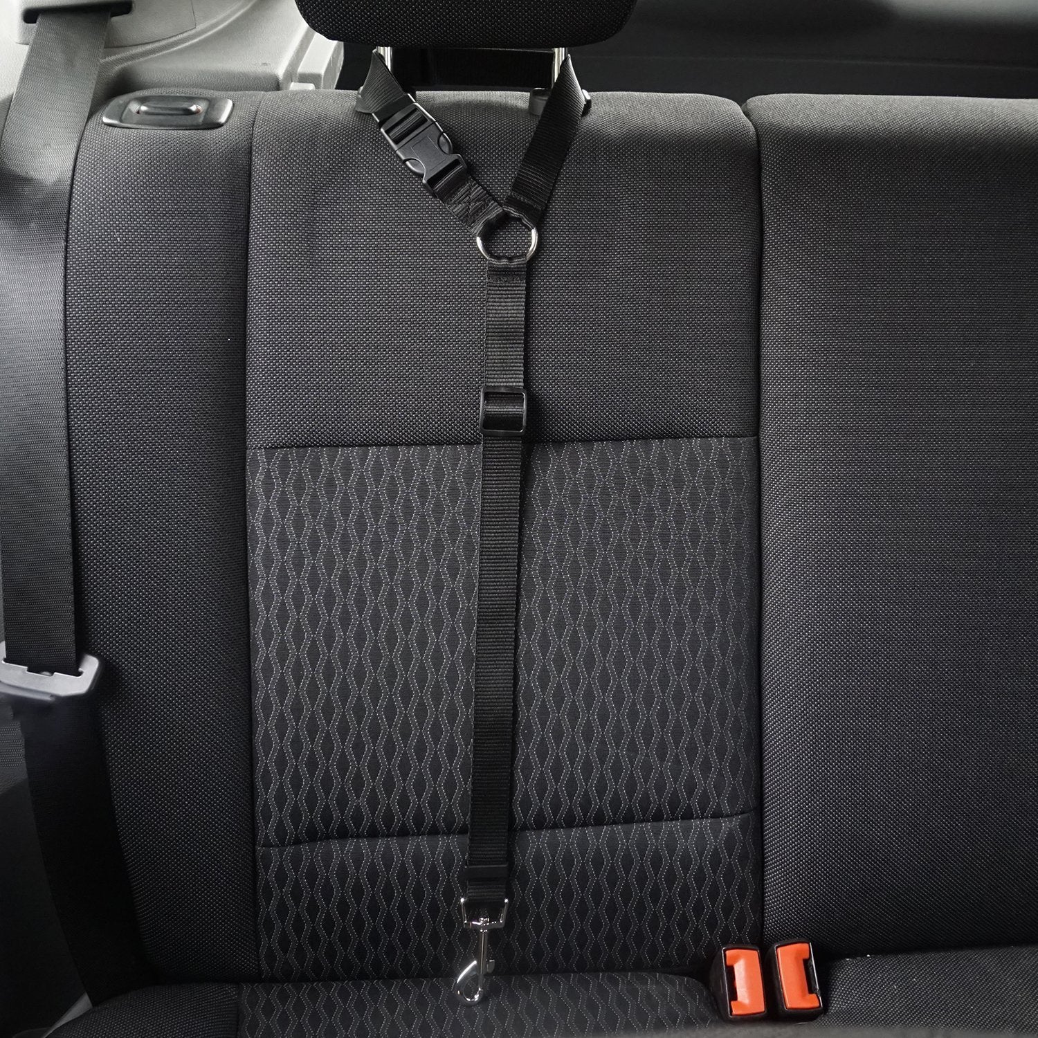 KFX-3936957 Adjustable Nylon Pet Safety Leash for Secure Traction and Control