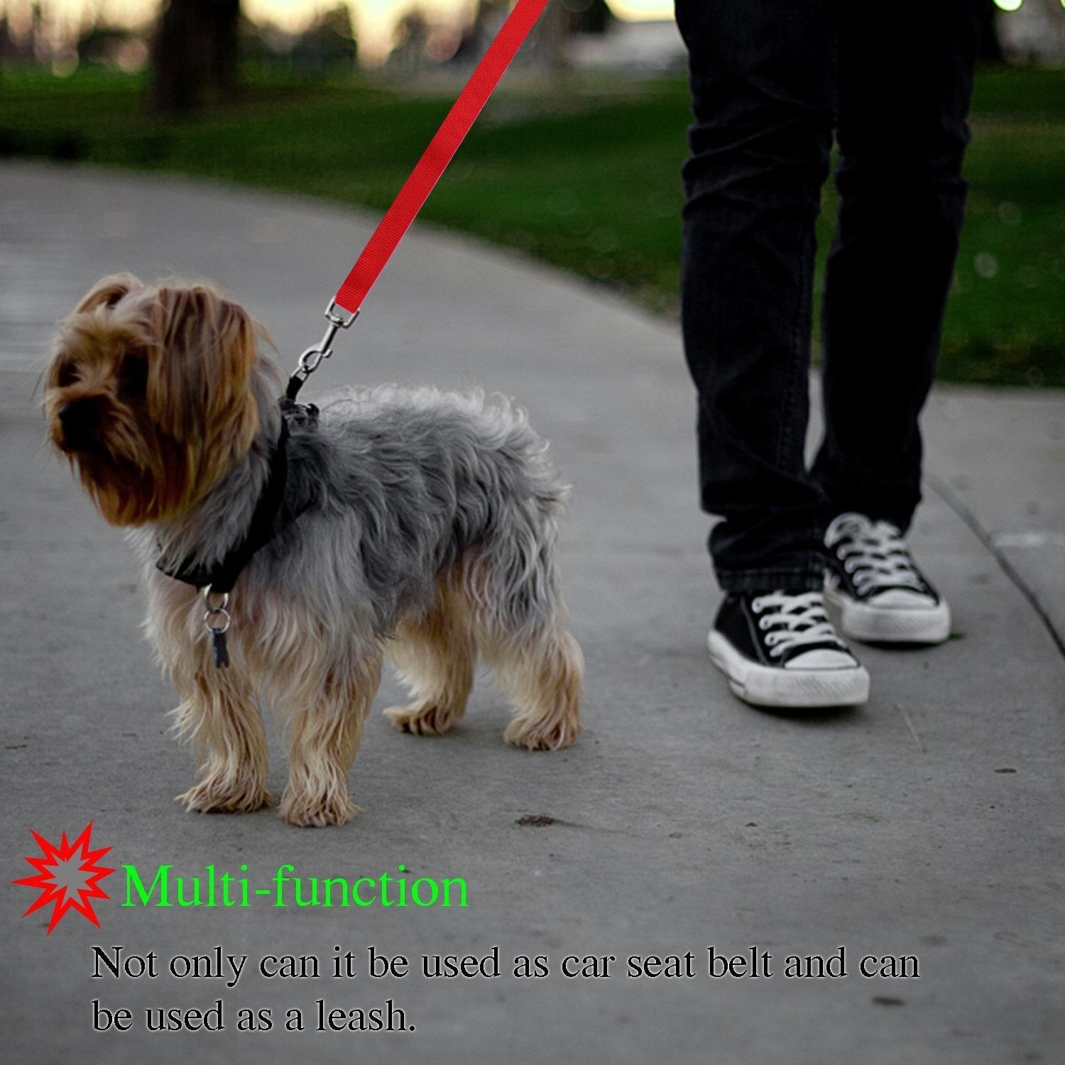 KFX-3936957 Adjustable Nylon Pet Safety Leash for Secure Traction and Control