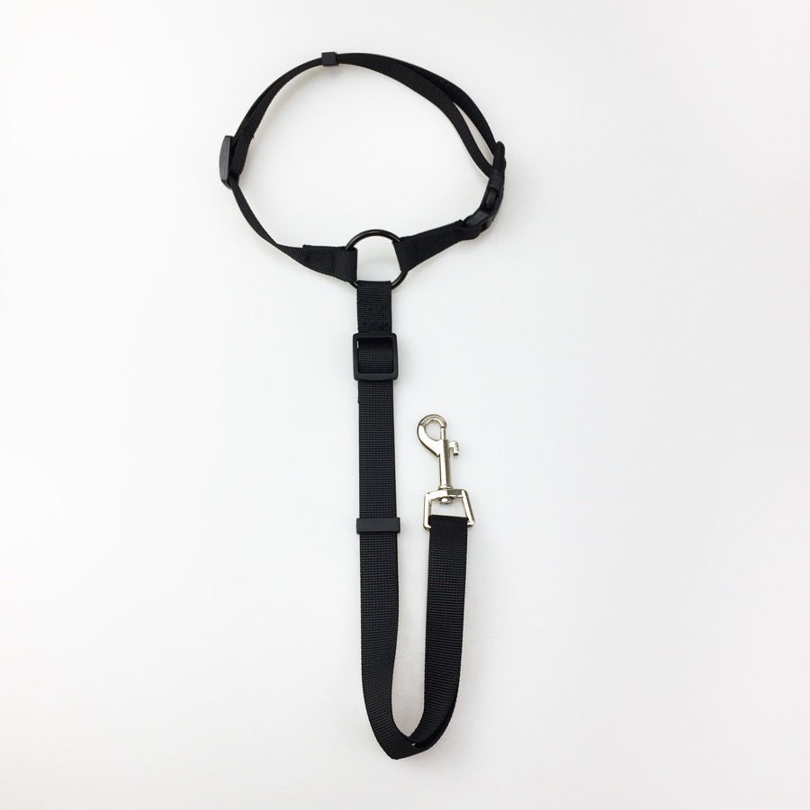 KFX-3936957 Adjustable Nylon Pet Safety Leash for Secure Traction and Control