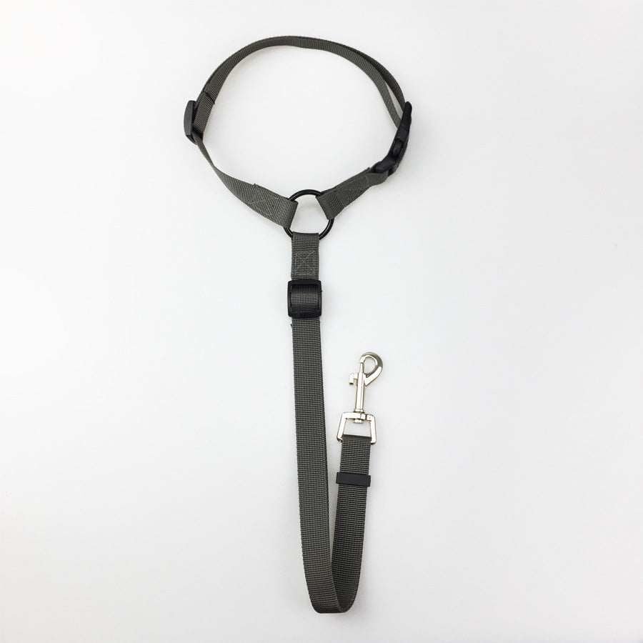 KFX-3936957 Adjustable Nylon Pet Safety Leash for Secure Traction and Control