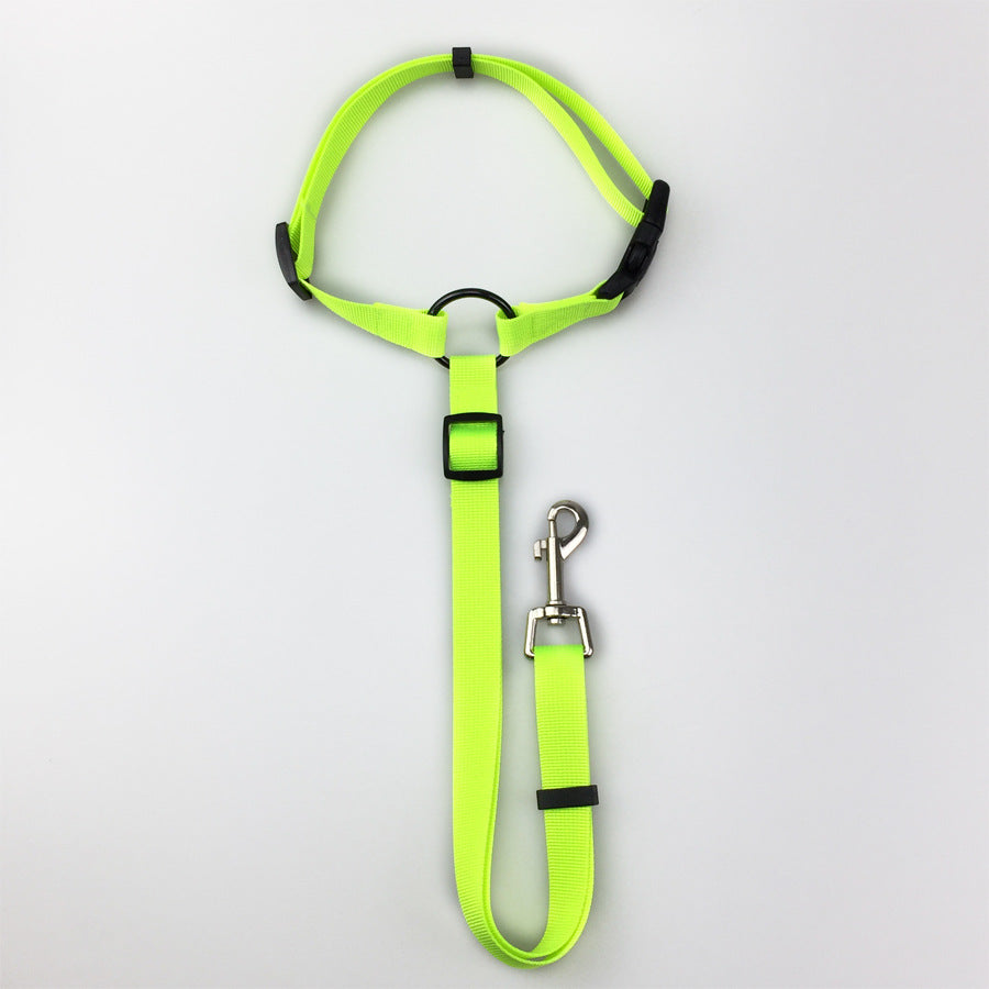 KFX-3936957 Adjustable Nylon Pet Safety Leash for Secure Traction and Control