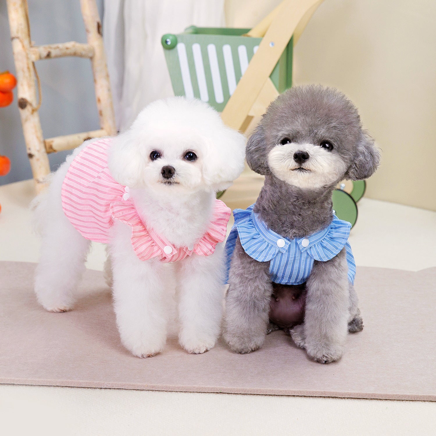 KFX-3937725 Stylish Vertical Bar Skirt for Dogs in Striped Blue - Spring and Summer Fashion