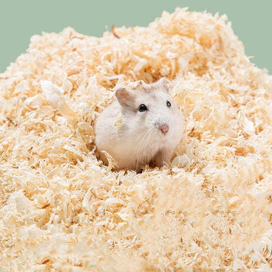 KFX-3940413 Poplar Wood Shavings for Small Animals, Birds, and Reptiles - Absorbent Bedding Material (1000G)