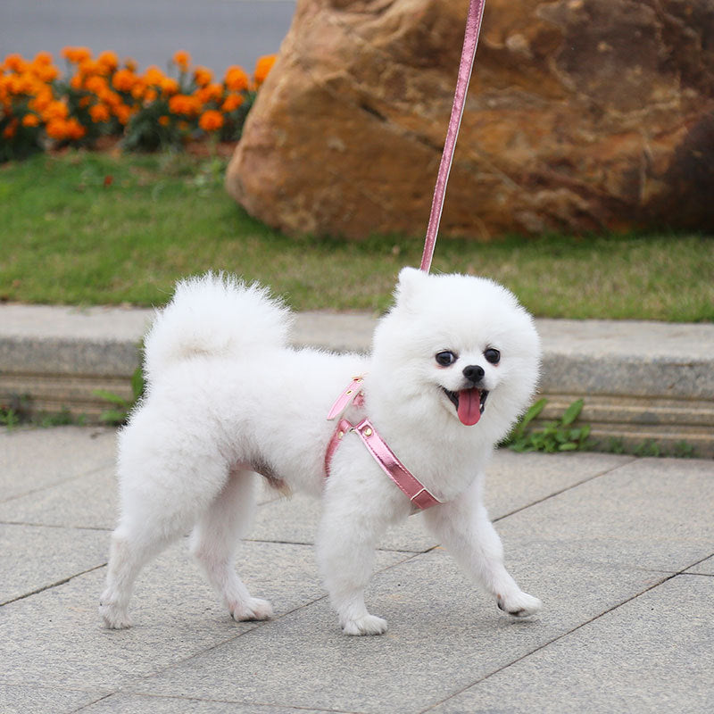 KFX-3942205 Traction Suit for Small and Medium Dogs with Leash - Multiple Color Options Available