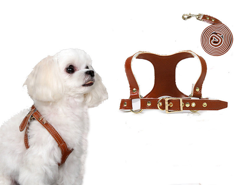 KFX-3942205 Traction Suit for Small and Medium Dogs with Leash - Multiple Color Options Available