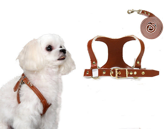 KFX-3942205 Traction Suit for Small and Medium Dogs with Leash - Multiple Color Options Available