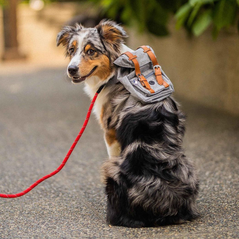 KFX-3945149 Pet Self Backpack for Small to Medium Dogs - Retro Design, Adjustable Neck and Bust окружность