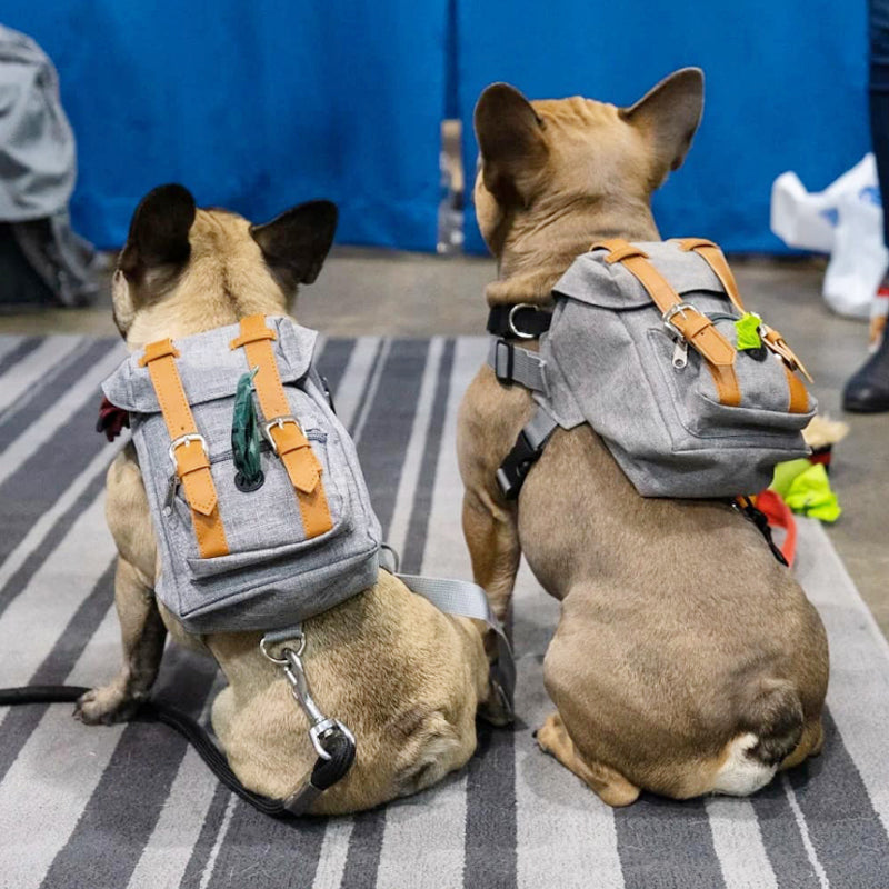 KFX-3945149 Pet Self Backpack for Small to Medium Dogs - Retro Design, Adjustable Neck and Bust окружность