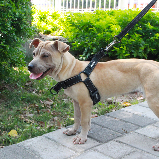 KFX-3947965 Reflective Adjustable Nighttime Pet Dog Harness with Nylon Chest Strap and Leash Options