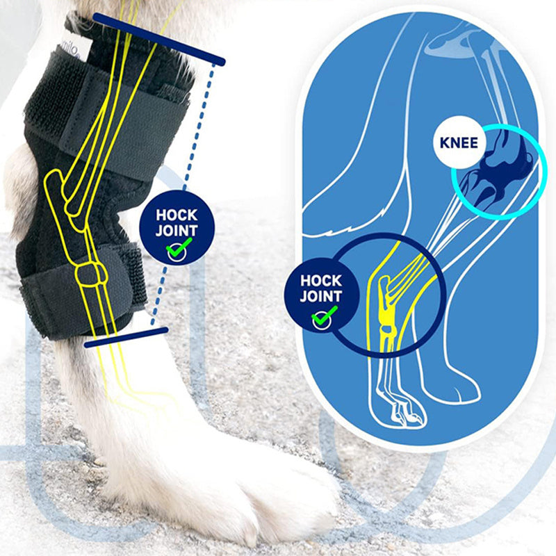 KFX-3951933 Pet Knee Pad for Dogs - ACL Ligament Support for Joint Injury Recovery - Breathable Hock Protector - Available in S/M/L