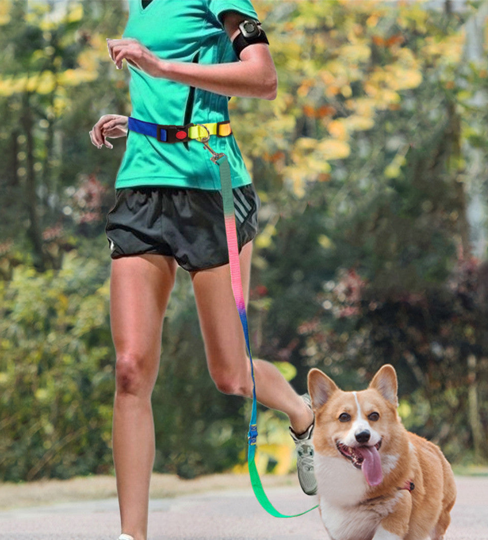 KFX-3954237 Hands-Free Pet Shoulder Traction Lead - Adjustable Nylon Harness, Black, 2.5cm Width, 180cm Length, Fits Waist 75-115cm