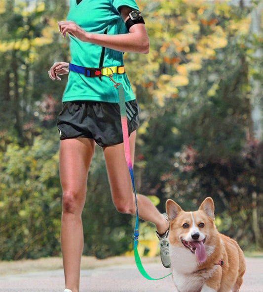 KFX-3954237 Hands-Free Pet Shoulder Traction Lead - Adjustable Nylon Harness, Black, 2.5cm Width, 180cm Length, Fits Waist 75-115cm